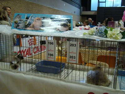 20121021_154 (Expo)